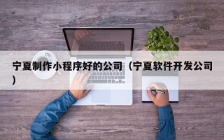 永康宁夏制作小程序好的公司（宁夏软件开发公司）